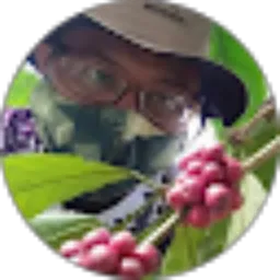 Review From S Bilondatu