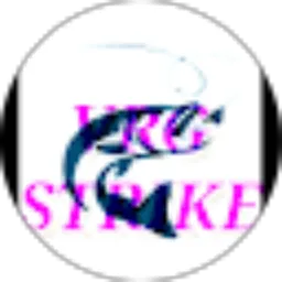 Review From NOVIRGO STANISLAUS