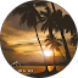 Review From PACE IDA 83