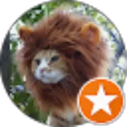 Review From inOT Tony