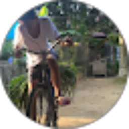 Review From DIMNUS - Daily Life Activities (Daily Life Of Indonesia)