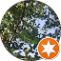 Review From pego sekali