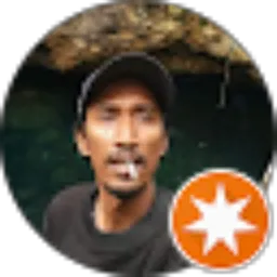 Review From aipassa berliet