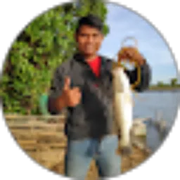 Review From Hozax hazix