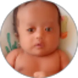 Review From Dafa Fadil