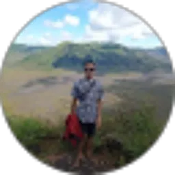 Review From Roni Wijaya