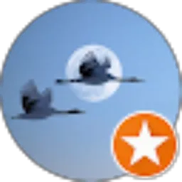 Review From Ghie