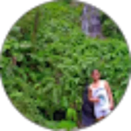 Review From Asep Gunawan
