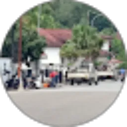 Review From Ifan 29