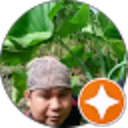 Review From Stepven 4u