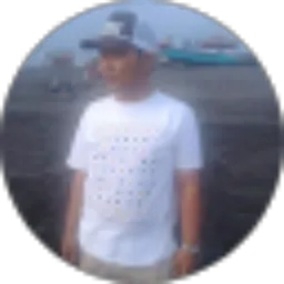 Review From Radityo Suryo