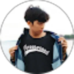 Review From vans boy