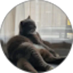 Review From ucing