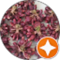 Review From Jual bawang dayak Indonesia