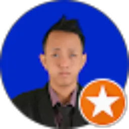 Review From ALDI Afandi