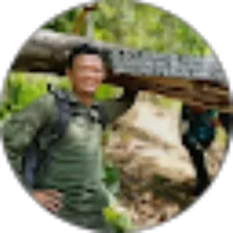 Review From QZ Channel