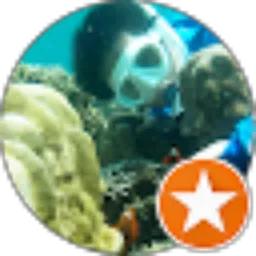 Review From Hendrik Bong