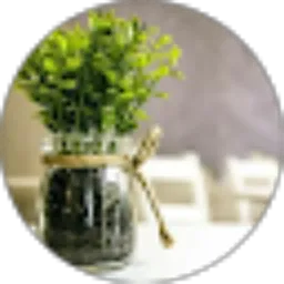 Review From Vivi Liana