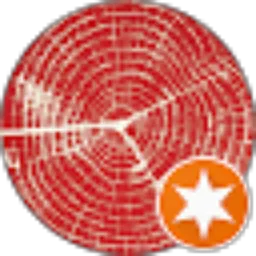 Review From B P