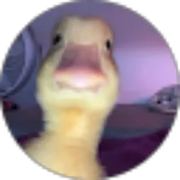 Review From Andy THE DUCK