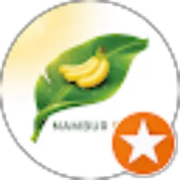 Review From Lisben Manalu