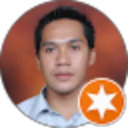 Review From Budiyono