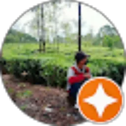 Review From Rian nur