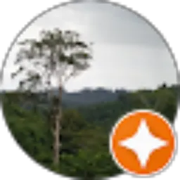 Review From arpani arpani