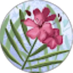Review From Shela Devaria