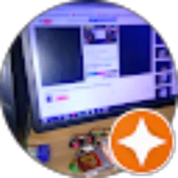 Review From FLASH VIDEO