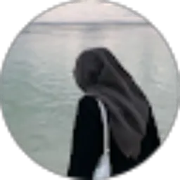 Review From 534_ NALA SALWA PALUPI