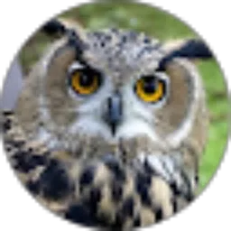 Review From Falcon 06