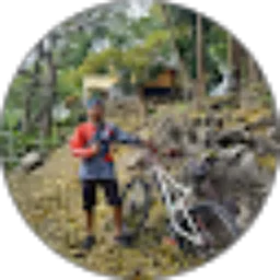 Review From Andi Arwan