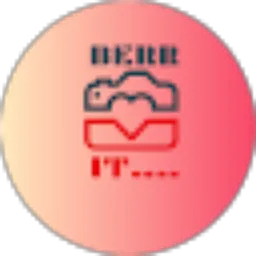 Review From BERR IT
