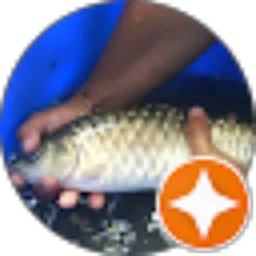 Review From Yohanes Radius Radius