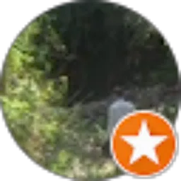 Review From Say Pool