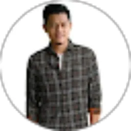 Review From very zigo