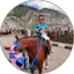 Review From Naufar Jc