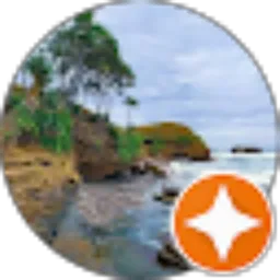 Review From Puji Wahyubudi