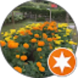 Review From Naila F