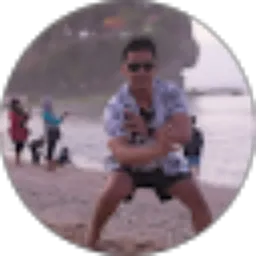 Review From Wisnu Anang