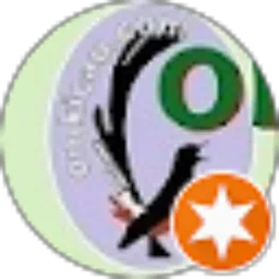Review From Ariel Omkicau