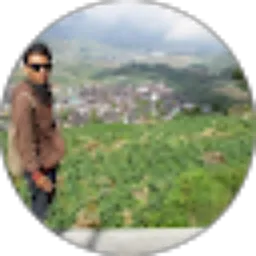 Review From Wisnu Panji