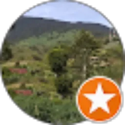 Review From Rhonk Shokan TV