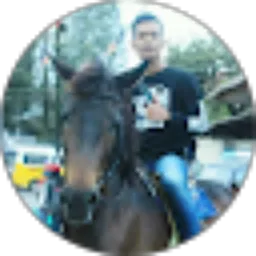 Review From Raynaldi Sembiring