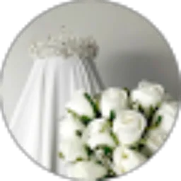Review From Alfia Mobile