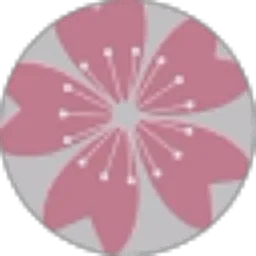 Review From Lisi Ana