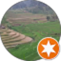 Review From Must Mudjiono