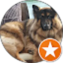 Review From Jason