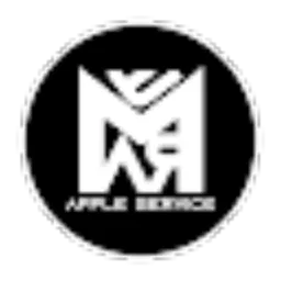 Review From amer service